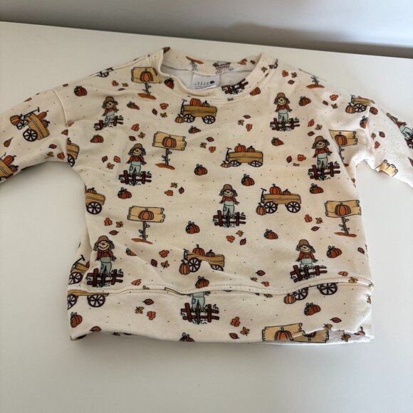 Dear Aspen Fall Long Sleeve Top Sweatshirt 9-12m Pumpkins Leaves Scarecrow - Picture 3 of 5